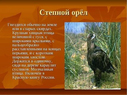 Красная книга степи