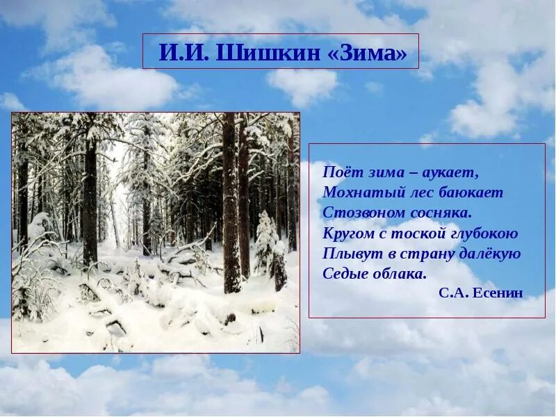 Зимние стихотворение есенина. Есенин мохнатый лес баюкает Стозвоном. Есенин мохнатый лес. Есенин аукает. Есенин поет зима аукает мохнатый лес.