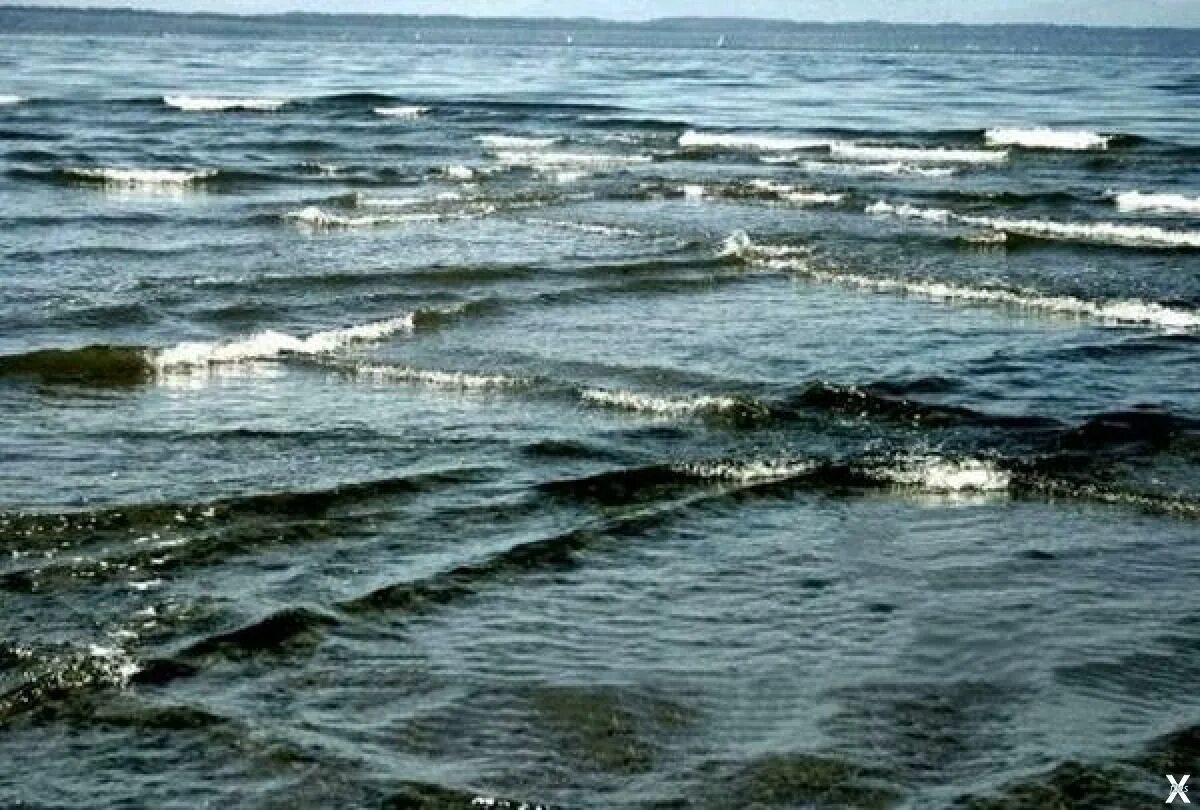 Квадратные волны в море. Квадратные волны опасны. Остров ре франция квадратные волны. Квадратные волны на море чем опасны. Перекрестные волны.