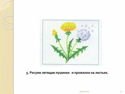 Одуванчики развитие речи средняя группа
