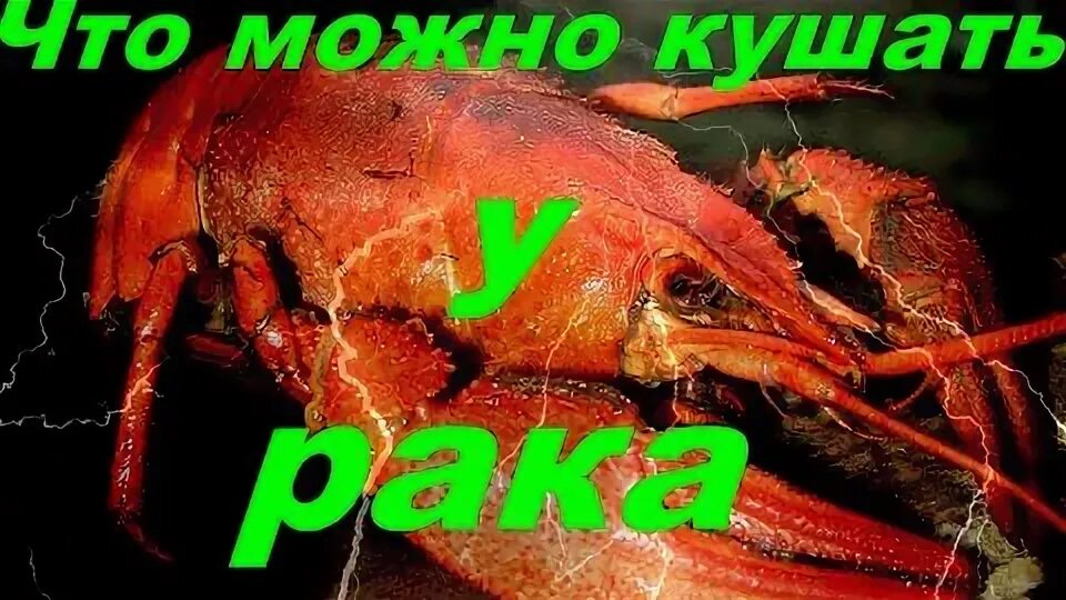 Краб в исламе можно