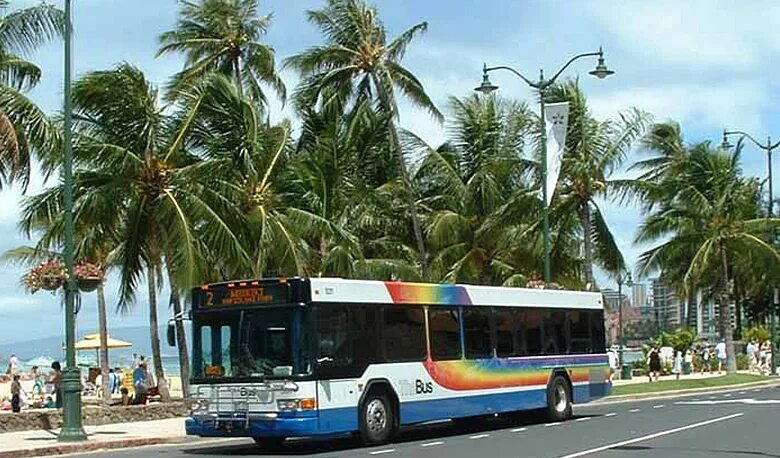 Most bus