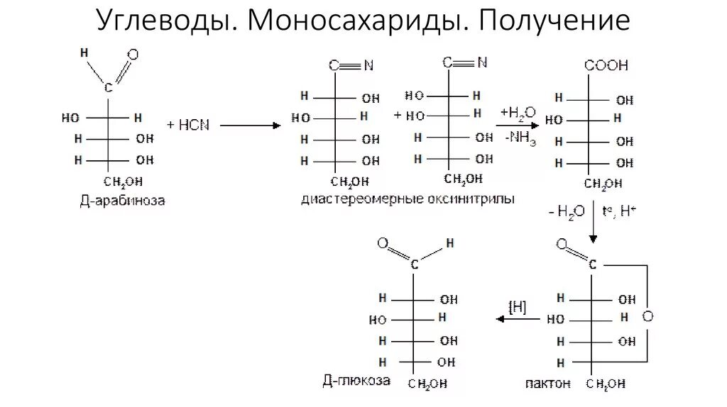 Моносахариды арабиноза. Получение углеводов моносахариды. Способы получения моносахаридов. Получение Глюкозы Синтез моносахаридов реакция. Гидролизу подвергается глюкоза рибоза фруктоза