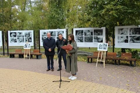 Выставки липецк