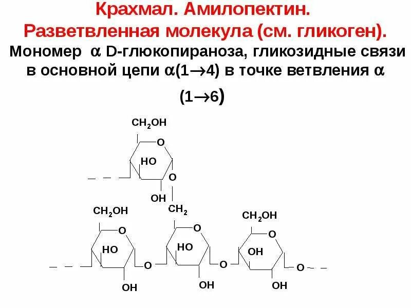 Что является мономером крахмала