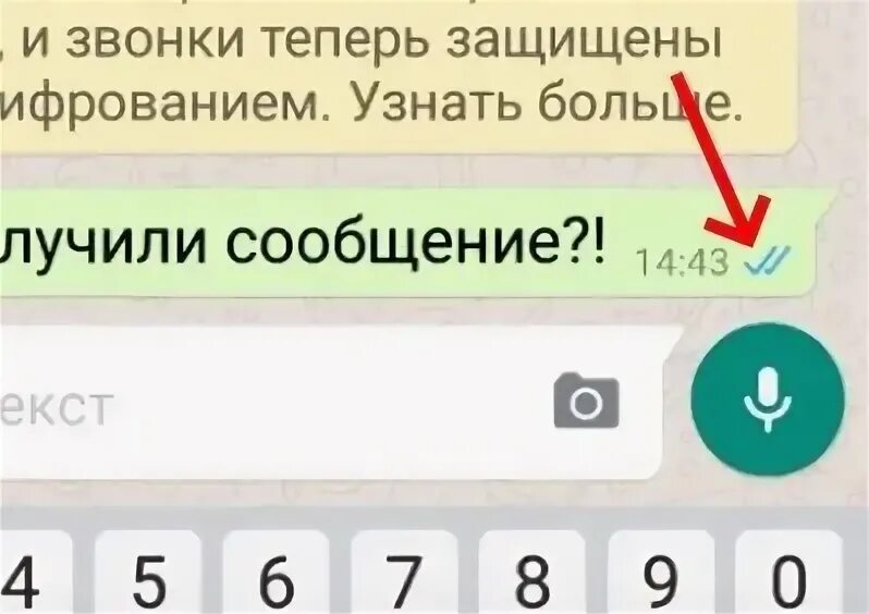 Что значит галочка в вотсап. Галочки в вотсапе. одна галочка в вотсапе. серая галочка в ватсапе. ватсап галочки в сообщениях.