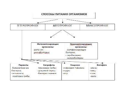 Схема способы питания