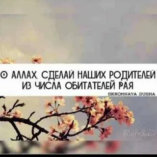 Число раю