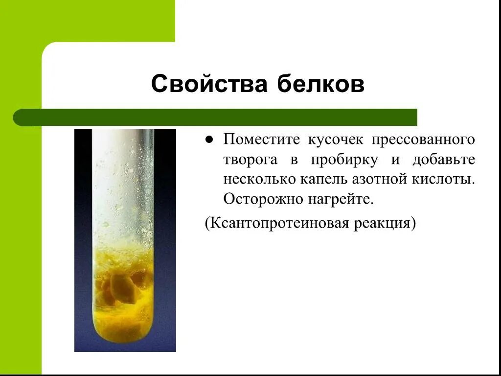 Ксантопротеиновая реакция белков реакция. Ксантопротеиновая реакция яичного белка. Ксантопротеиновая реакция на белки. Ксантопротеиновая реакция реакция.