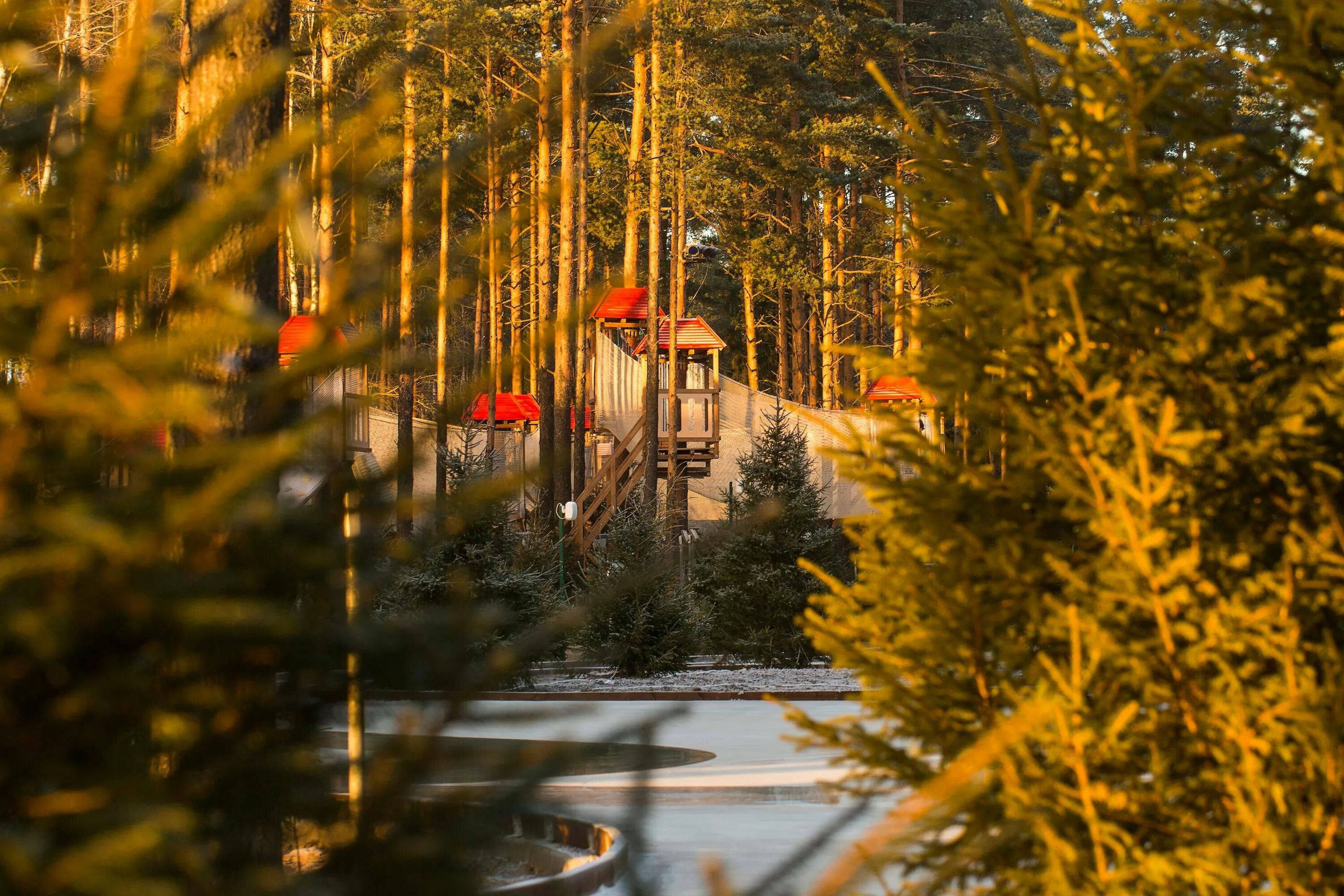 Охтинский парк. Улица Людмилы Кедриной Охта парк. Охта парк Мистолово. Курорт Охта-парк Санкт-Петербург. Охтинский парк Санкт-Петербург.