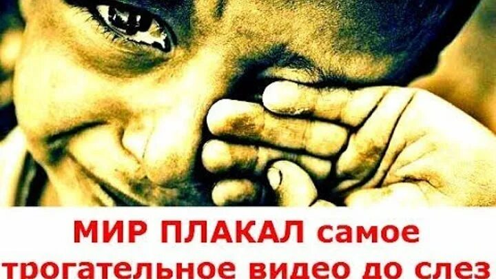 Мир будет плакать. Трогательно до слез. Очень трогательно до слез. Ролики до слез трогательные. Плачет очень трогательно.