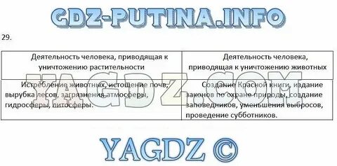 Параграф 29 6 класс