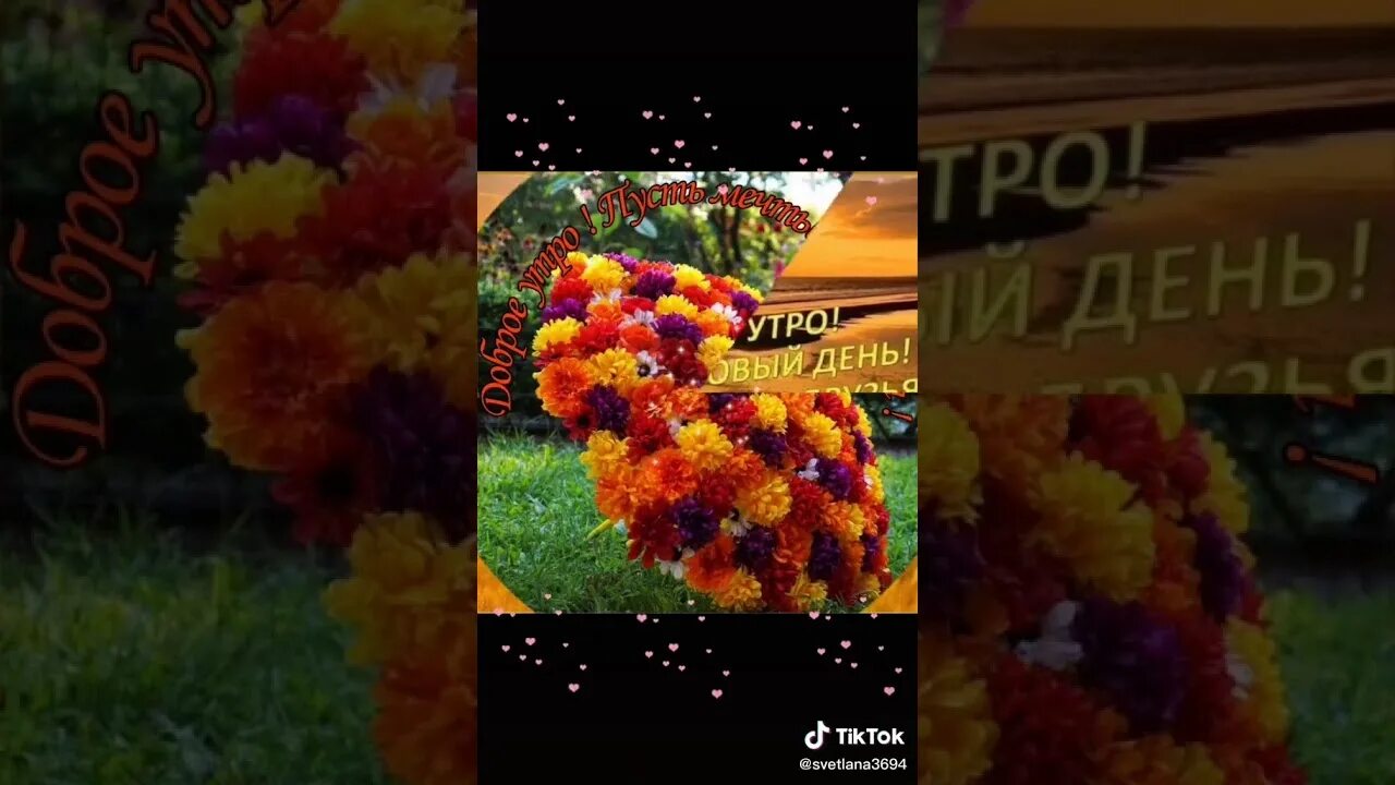 Видео из тик тока с добрым утром. Тик-ток с добрым утром. Тик ток доброе утро. ТИКТОК С добрым утром. Доброе утро из тик тока видео.
