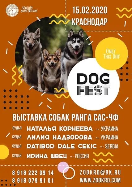 Выставка собак афиша. Плакат выставка собак. План собачьей выставки. Выставка собак реклама.