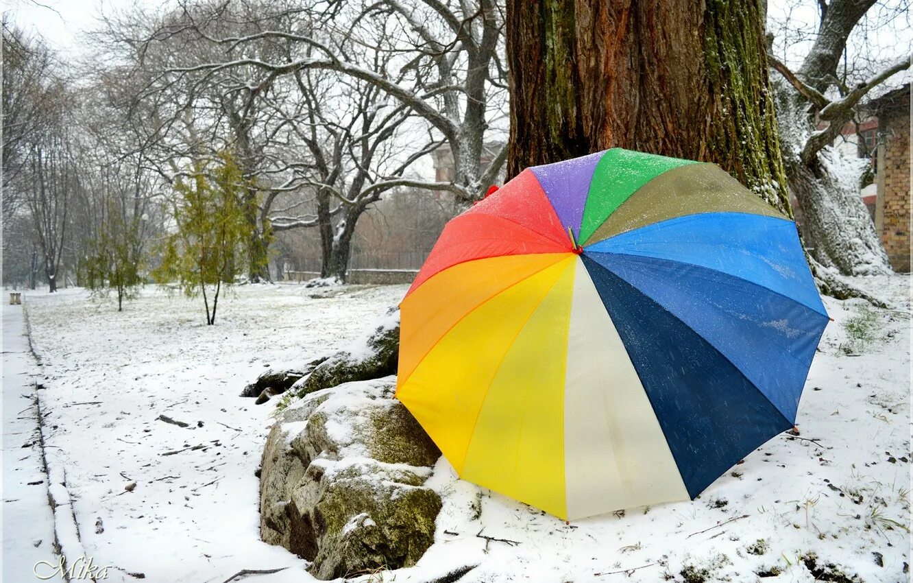 Зонтики 10. Зонтик. Зимний зонт. Зонтик зимой. Снег на зонтике.
