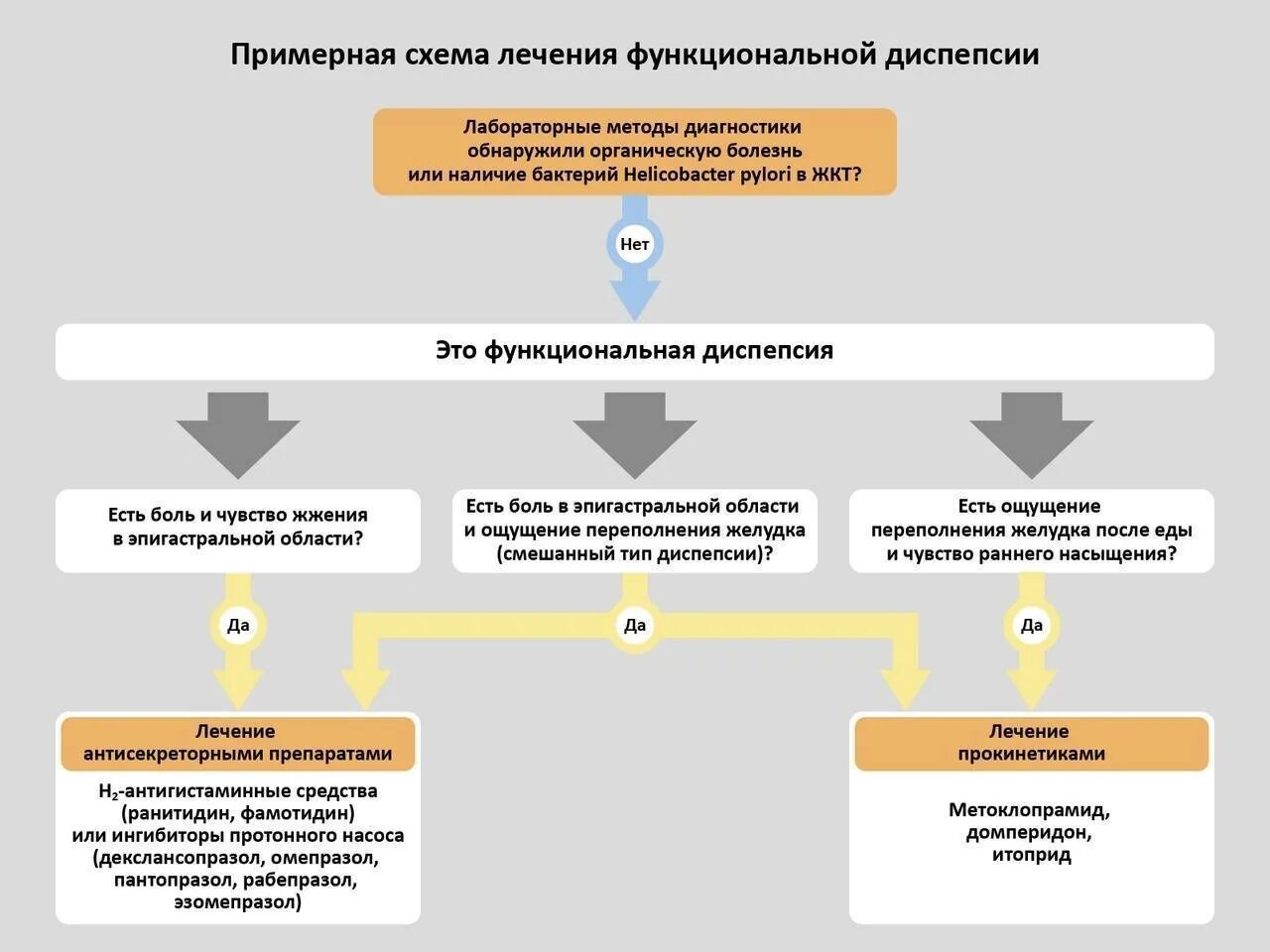 Лечение диспепсии у взрослых. Алгоритм диагностики функциональной диспепсии. препараты при функциональной диспепсии. диспепсия желудка лечение препараты схема лечения. терапия функциональной диспепсии.