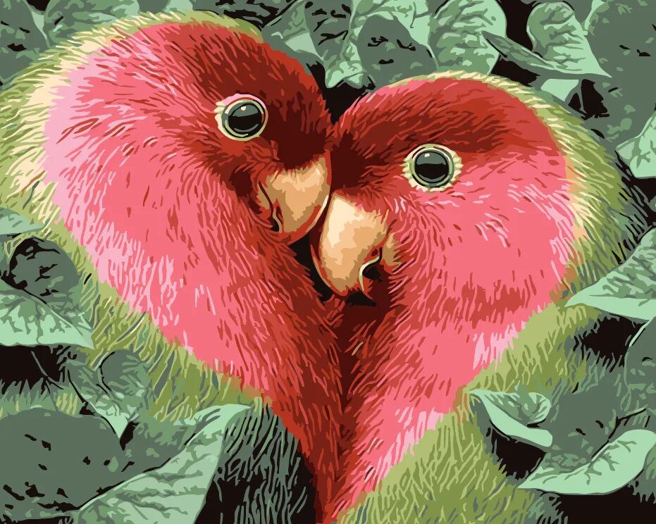 I love birds. Неразлучники попугаи. Попугаи неразлучники Какаду. Попугаи неразлучники в природе. Любовь попугаев.