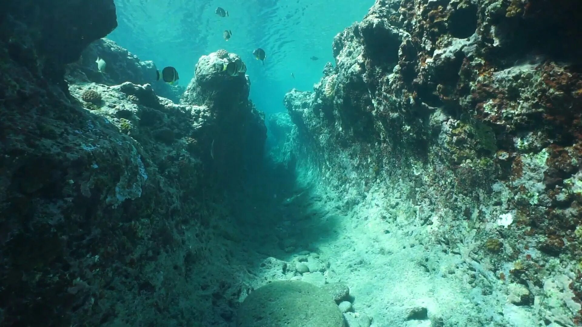 3 дня в океане. Морское дно. Дно океана. Под водой. Дно моря.