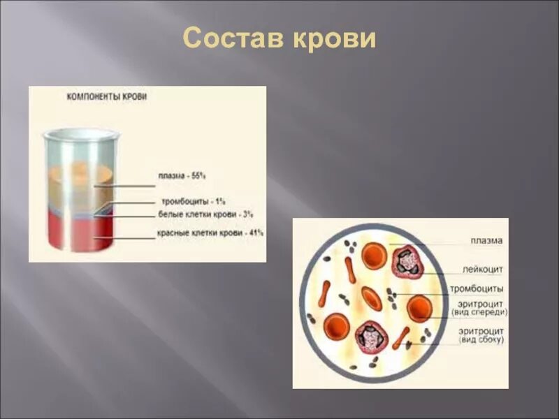 Состав крови. Состав крови человека. Состав крови рисунок. Слайд состав крови. Определение количественного состава крови