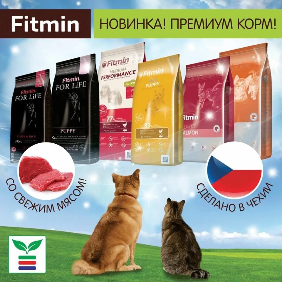 Корм премиум Fitmin для собак. Корм для кошек премиум. Корм для кошки названия премиум. Реклама корма для животных. Премиум для кошек премиум купить