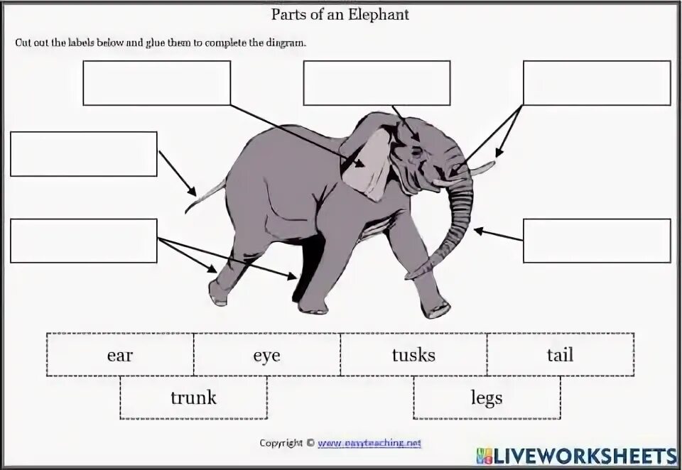 Animal body parts for kids. Animal bodyparts. Parts of animal body. Animal body parts for kids. Animal body parts.