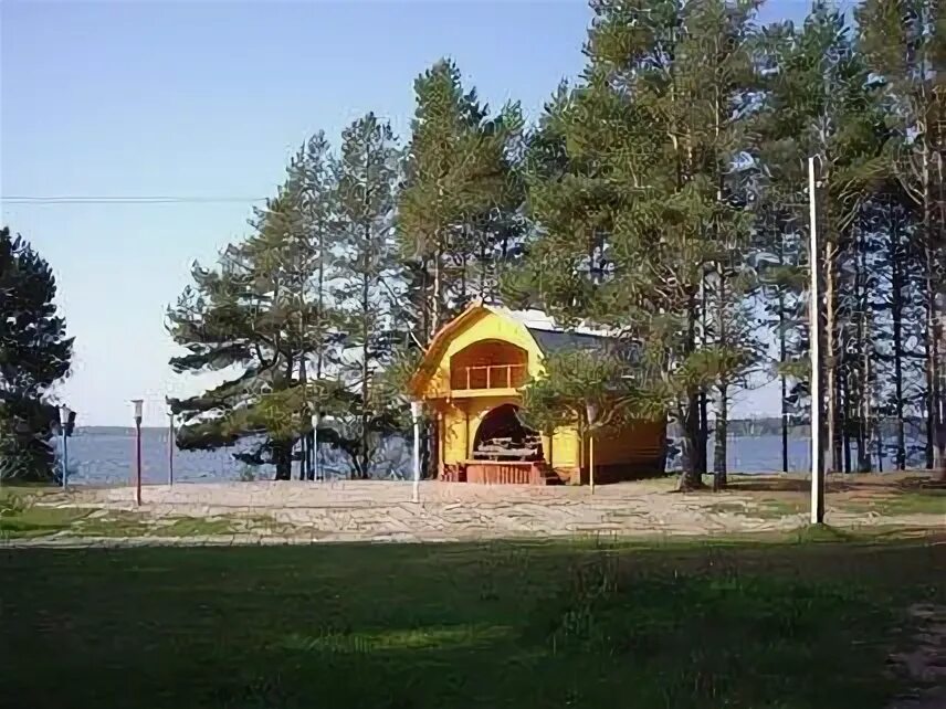Селигер третники. Отдых на селигере тверская область. Отдых на селигере тверская область. Отдых на селигере тверская область. Озеро селигер сосновый бор.