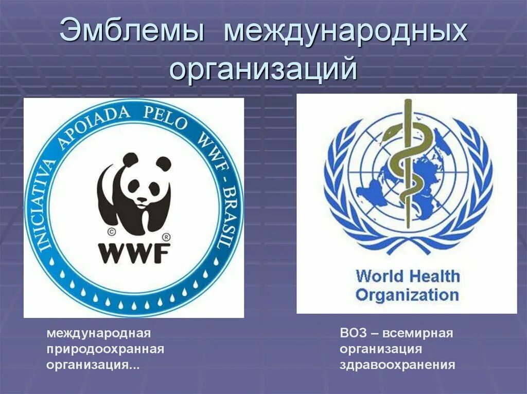 Символы международных организаций. Логотипы Всемирных организаций. Международные организациилого. Международные органихаци. Перечислите мировые организации