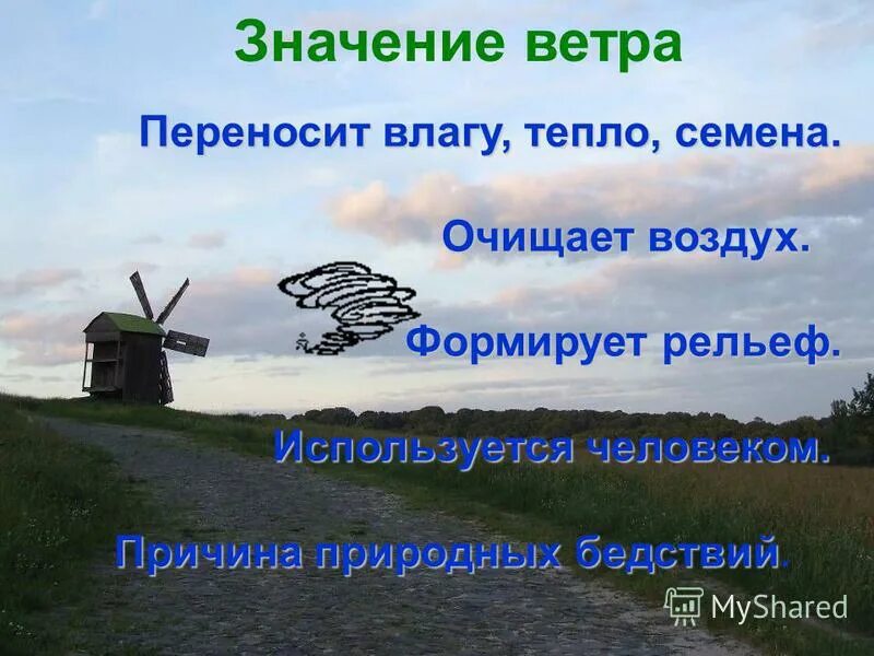 Как называется ветер который днем. Виды ветра. Сила ветра. Виды ветра названия. Виды ветров Муссон.