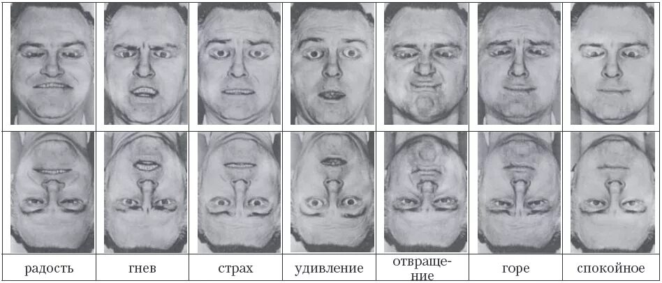 Базовые эмоции радость. Гнев страх вина. Страх эмоция. Злость страх гнев. Кувшин чувств.