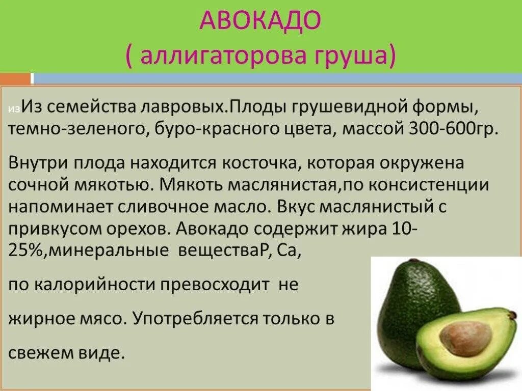 Кому нельзя авокадо. Авокадо это фрукт или овощ. Интересные факты об авокадо. Сообщение про авокадо. Интересные факты об авокадо для детей.