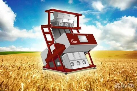 Машина для сортировки зерна 5 букв