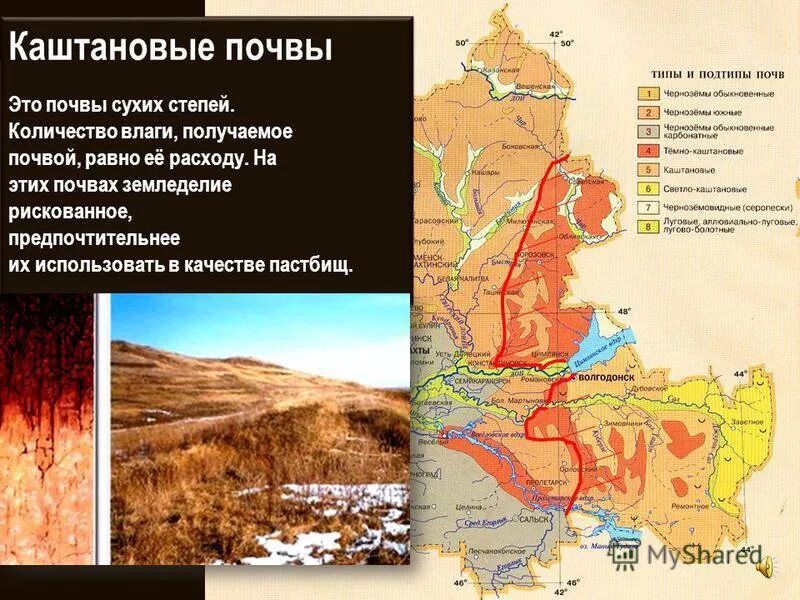 Каштановые почвы. Каштановые почвы характеристика. Каштановые почвы степей. Каштановые почвы где. Каштановые сухие степи