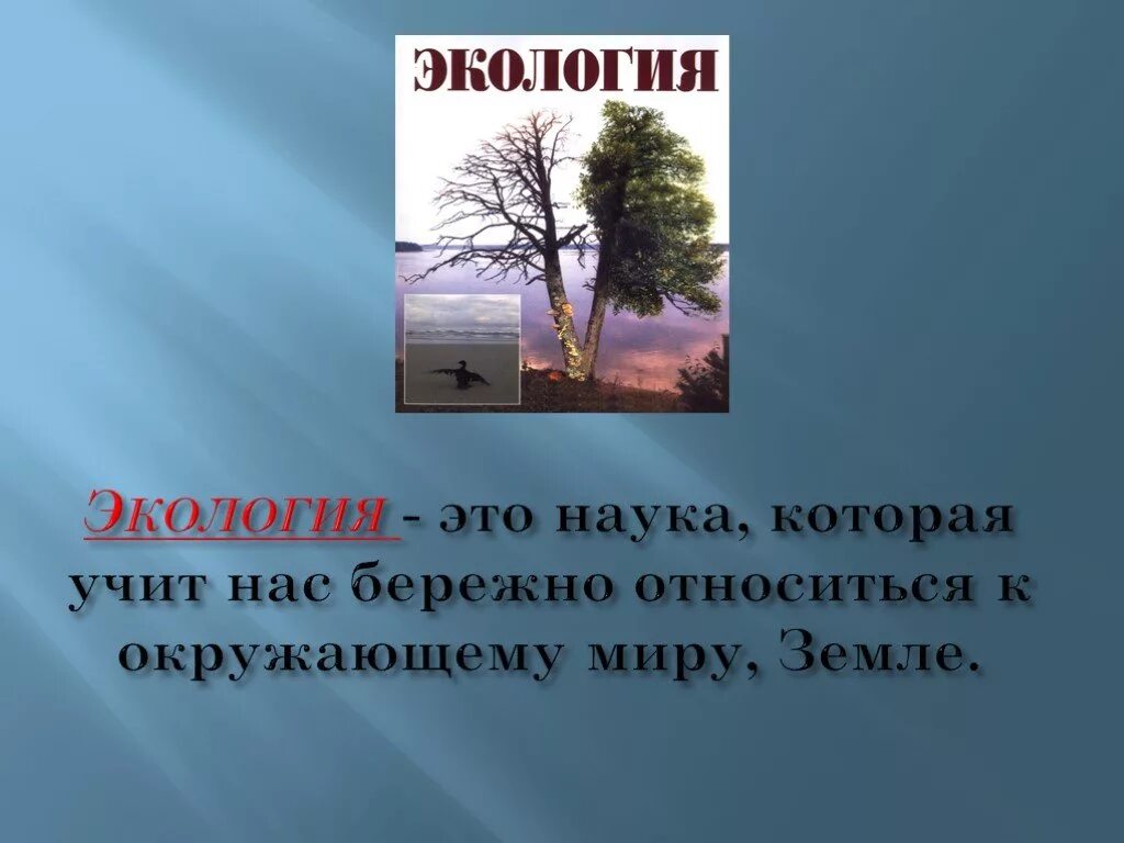 Урок экология 3 класс школа россии. Экология презентация 3 класс. Проект экология. Экологика па окружающаму миру. Рассказать про экологию.