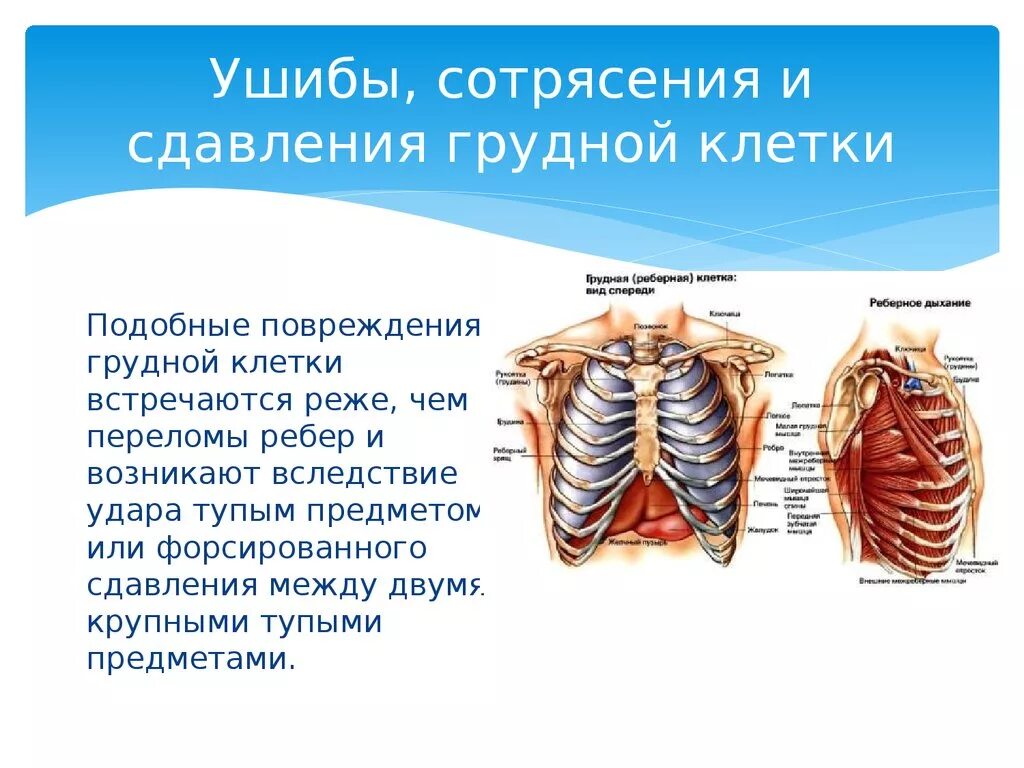 Повреждение легкого ребрами