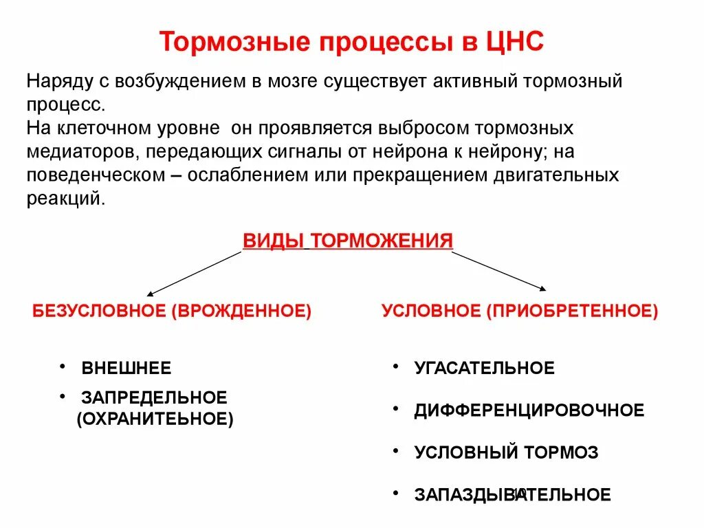 Процессов цнс