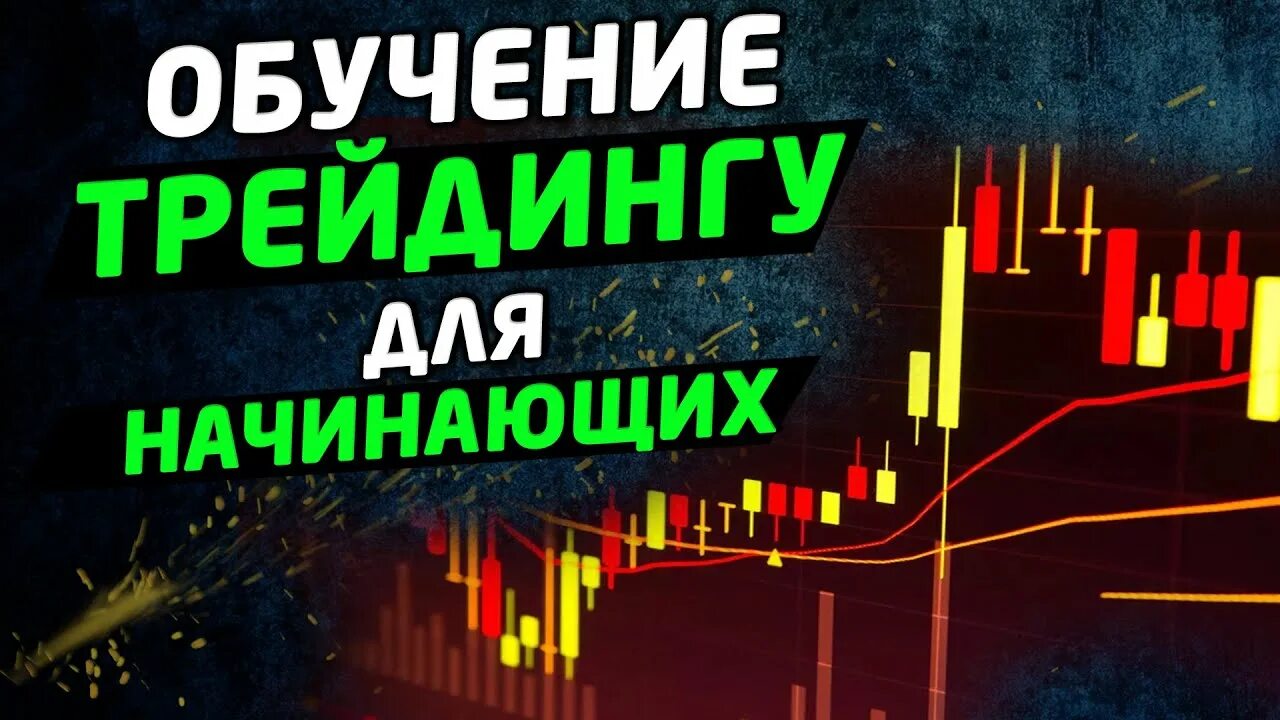 Биржа с нуля обучение. Обучение трейдингу с нуля. где обучиться трейдингу.