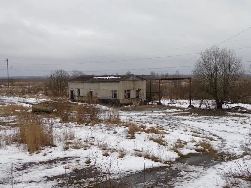 Погода в молодцово. Поселок Молодцово. Поселок Молодцово Кировский район. Молодцово школа. Заброшенный +Молодцово.