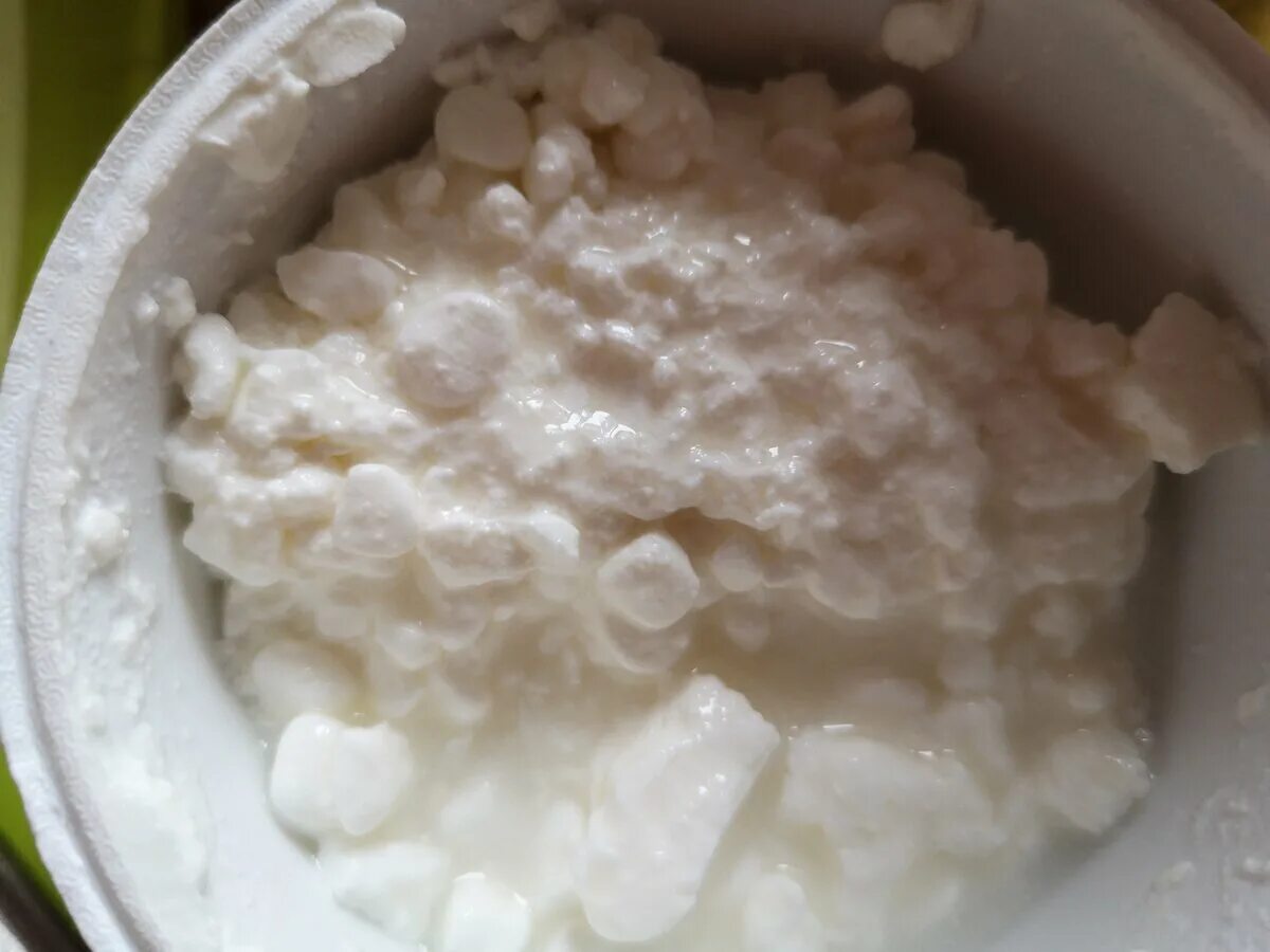 Просроченный творог как определить. Творожная плесень. Испорченный творог. Есть просроченный творог. Творог старый замок.