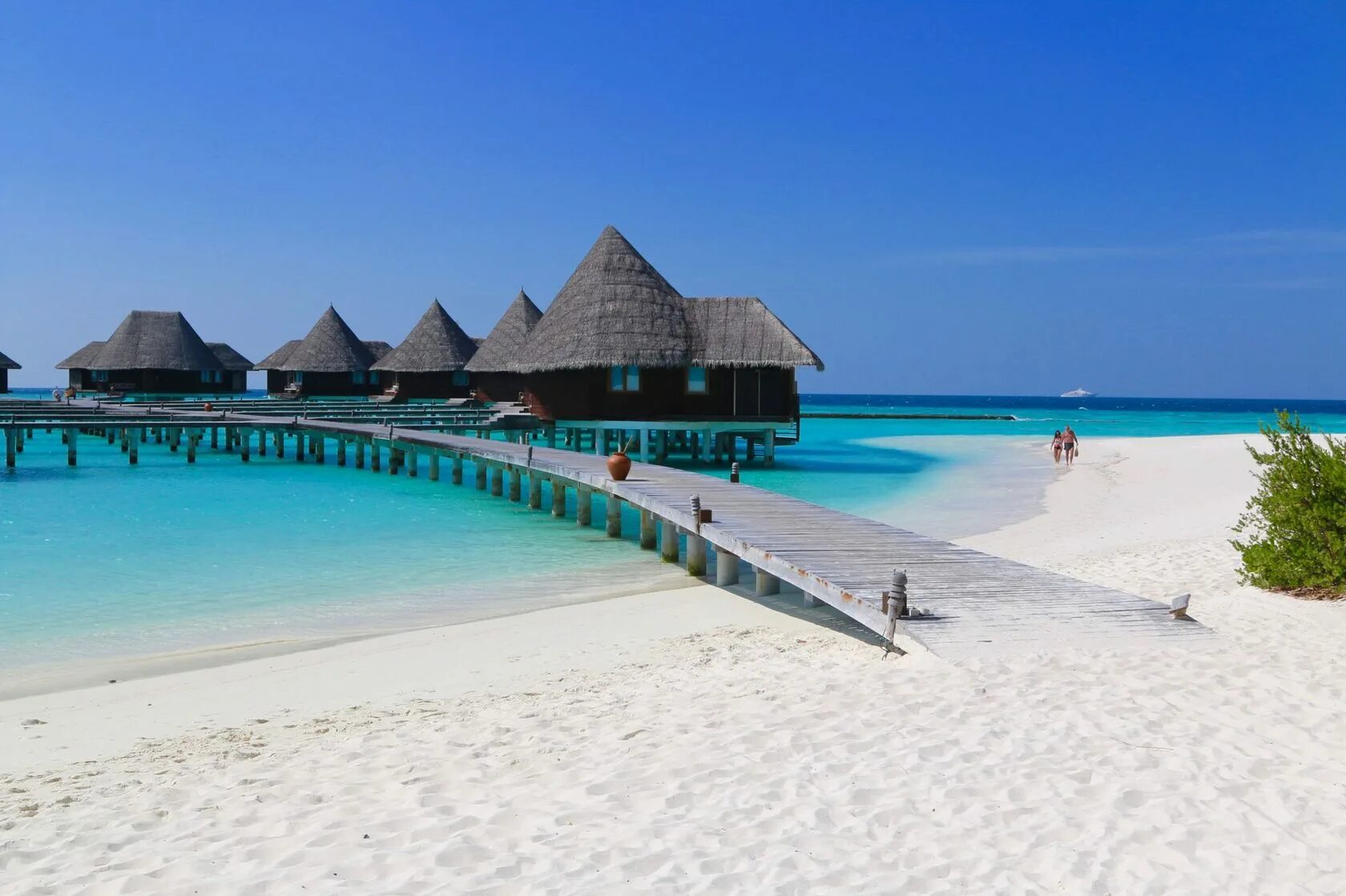 ханимаду мальдивы. отель ozen reserve bolifushi. мальдивы в москве пляж. москва мальдивы дешевые туры. москва мальдивы дешевые туры.