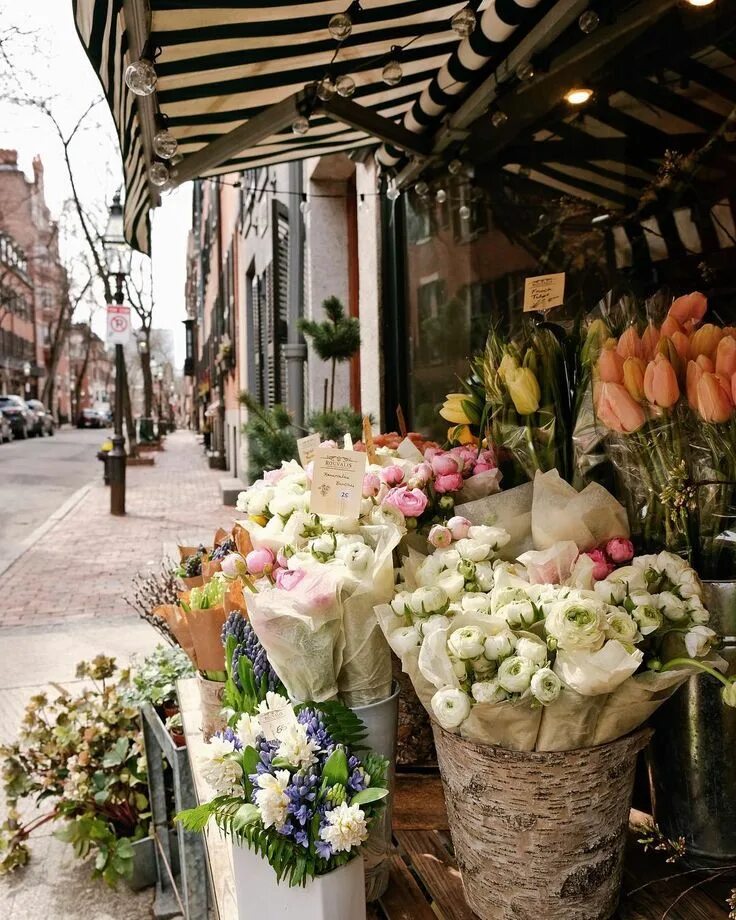 My flower shop. Цветочная Лавка. Цветочный магазин во Франции. Лавка с цветами. Цветочный бутик.