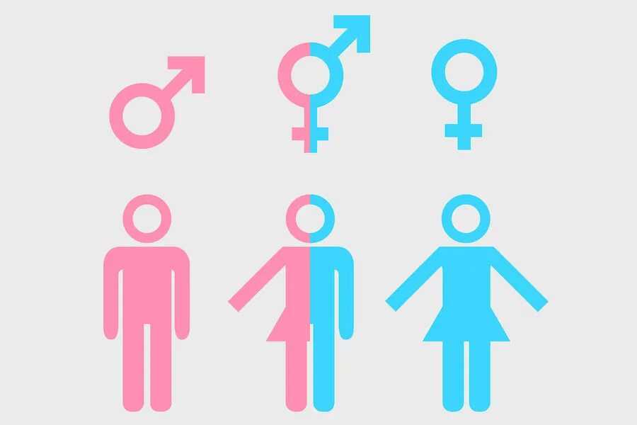 Мужской и женский гендер. Значок трансгендеров. Гендерная символика. Пол мужской и женский.