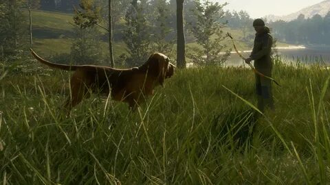 Hunt other