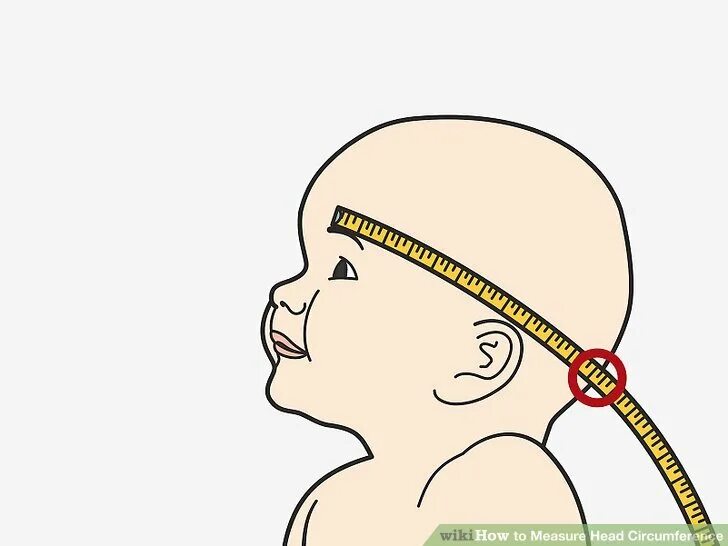 Обхват головы ребенка. Изменения окружности головы. Измерение окружности головы рисунок. Измерение окружности головы ребенка школьного возраста. Обхват головы у новорожденных для шапки.