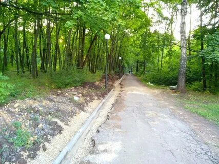 Ботаник орел