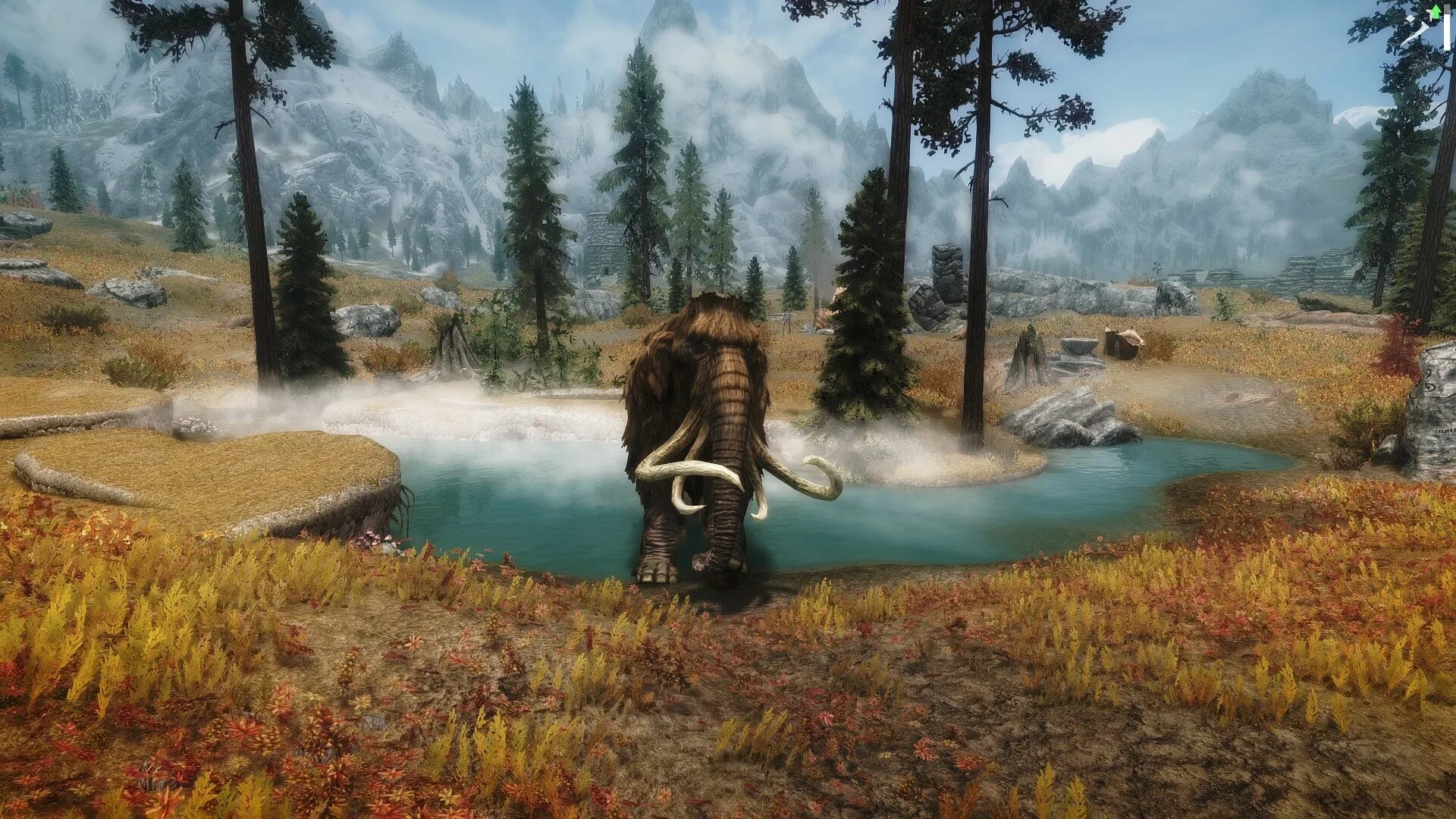 Display tweaks skyrim. Животные скайрима. skyrim животные. звери из скайрима. скайрим мод больше живности.