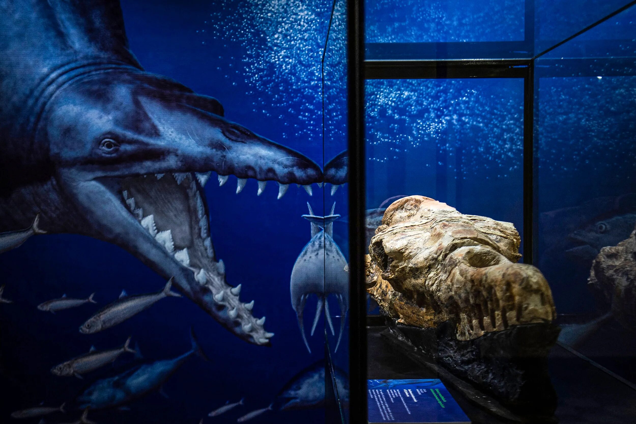 Доисторическая девушка замороженная 40 миллионов лет. Базилозавр. Древний кит Базилозавр. Морские чудовища реальные.