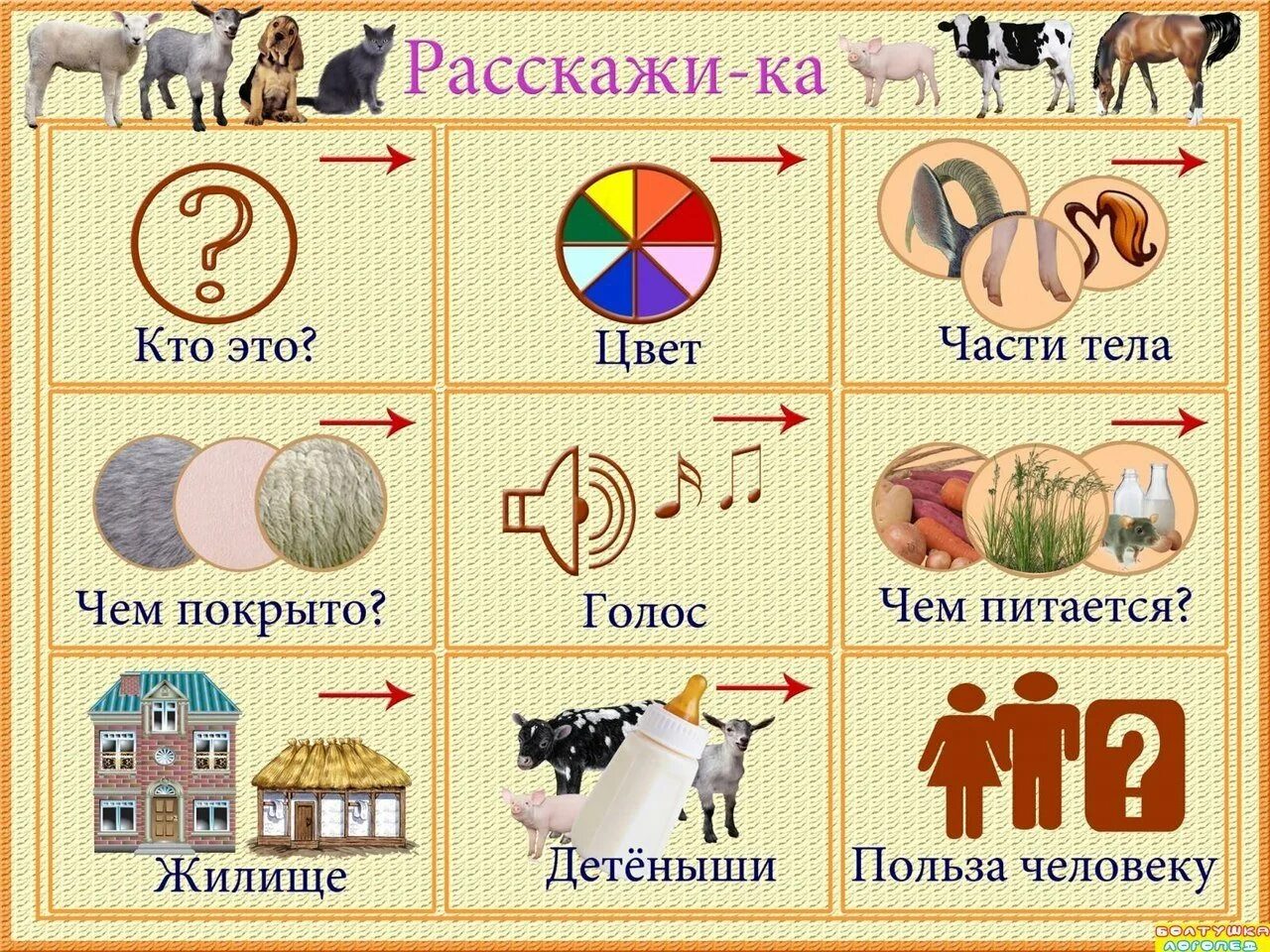 Опиши предметы людей и животных