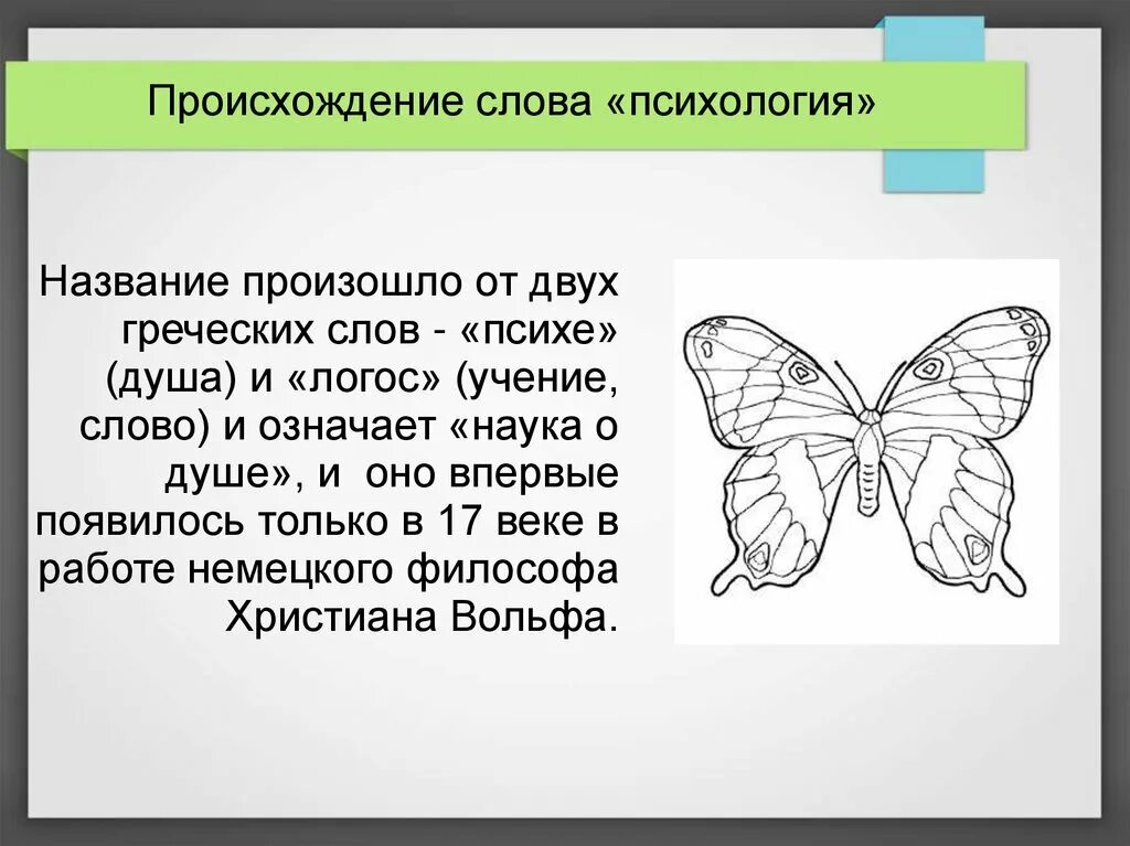 Из каких греческих слов образовалось слово. Происхождение слова психология. Слово психология происходит от греческих слов. Происхождение термина психология. История слова психология.