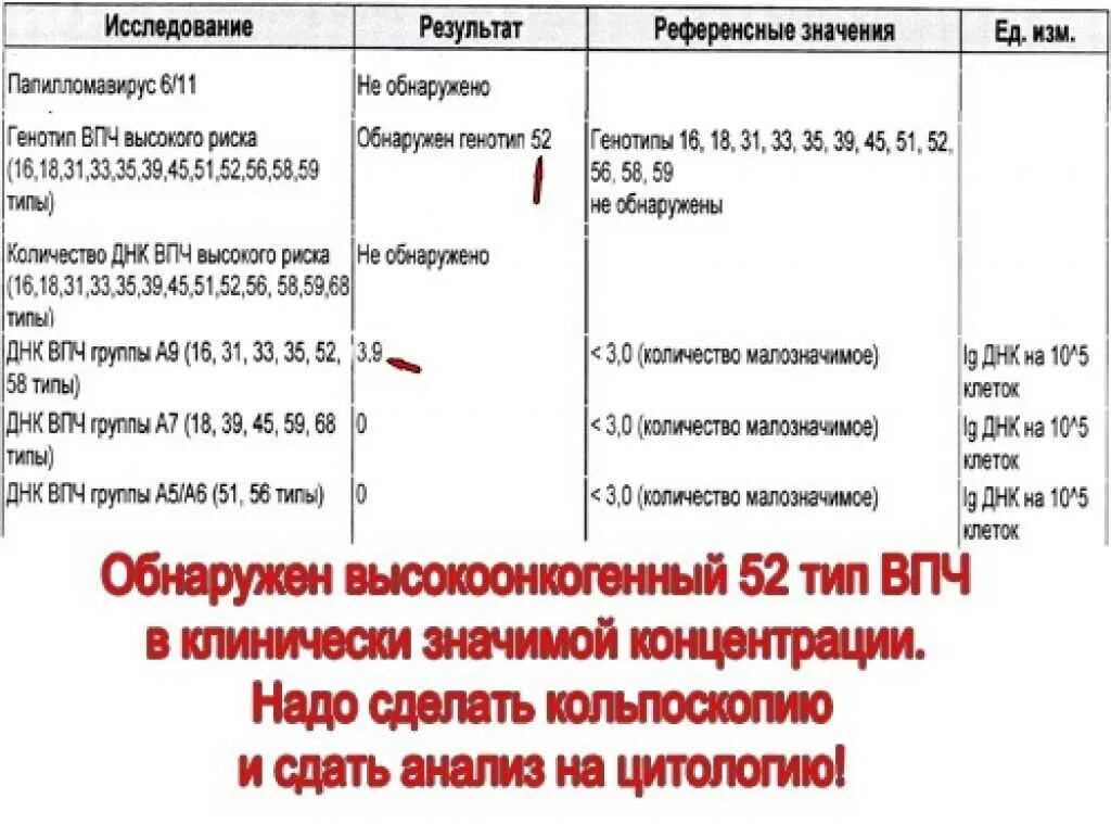 ДНК ВПЧ высокого риска. ВПЧ высокого онкогенного типа. Генотипы ВПЧ высокого риска. Что значит обнаружены качественно