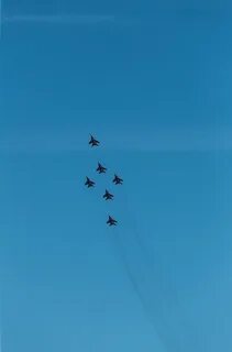 Почему стрижи летают высоко